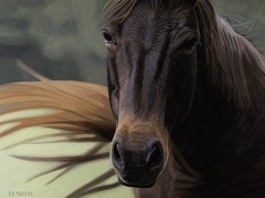 "Mustang Series 4" Giclee on Canvas by AD Maddox