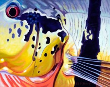 "El Sargento" a Limited edition fly fishing Giclee on Canvas by A D Maddox