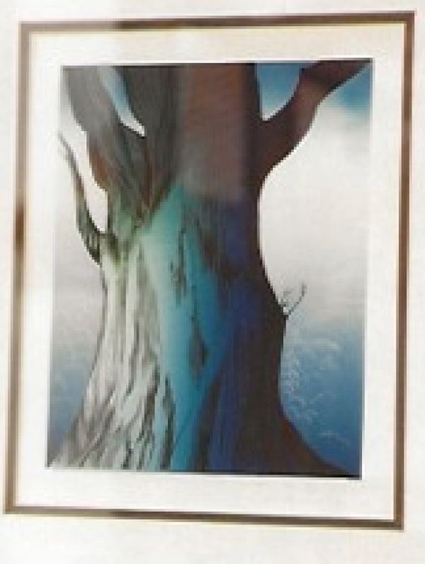 "Eucalyptus" Serigraph by Eyvind Earle"