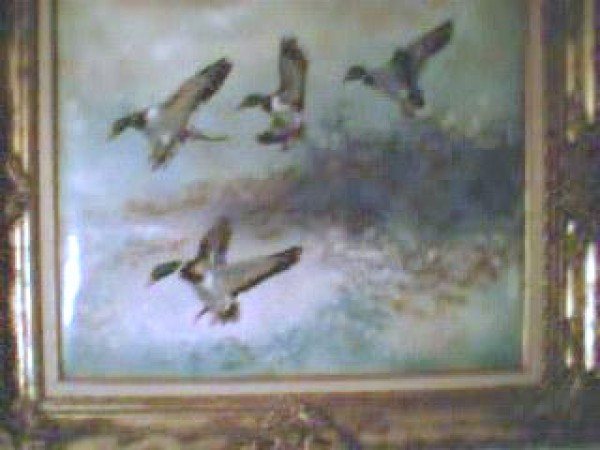 "Four Ducks" Framed Original Enamel on Copper by David Karp
