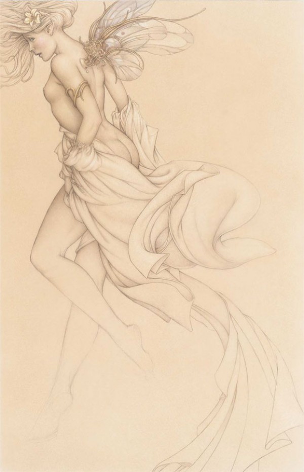 "Startled Sky Nymph" Drawing Edtion on Paper by Michael Parkes