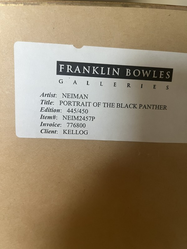 Portrait of a  Black Panther 