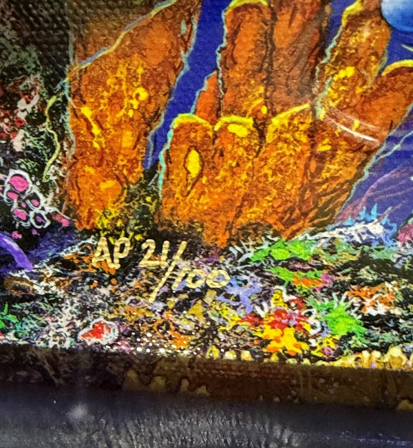 "Beyond the Reef" Framed Lassengraph triptych by Christian Riese Lassen