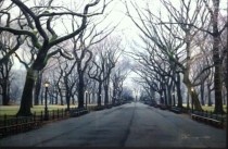 "Sunday 5:47AM" Acrylic face-mounted photographic print on high-gloss, metallic (silver halide) paper, presented in the original Peter Lik gallery matte black frame.