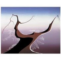 "Desert Tree" Serigraph by Eyvind Earle