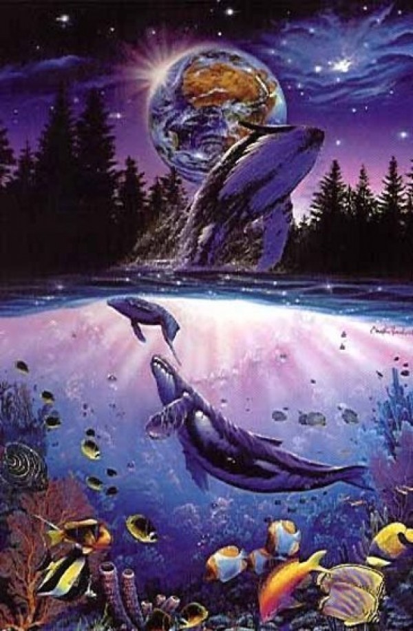 Whale Star" Mixed Media Graphic on Paper by Christian Riese Lassen